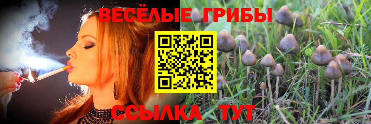 Галлюциногенные грибы GOLDEN TEACHER Всеволожск